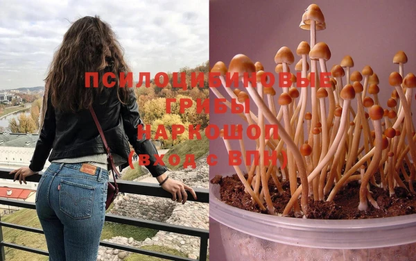 не бодяженный Верхний Тагил