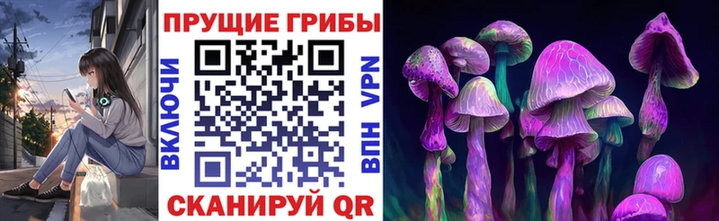 Псилоцибиновые грибы Psilocybine cubensis  купить наркотик  Туймазы 